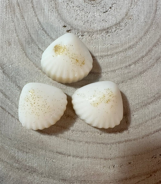 Baby shampoo £1 melts